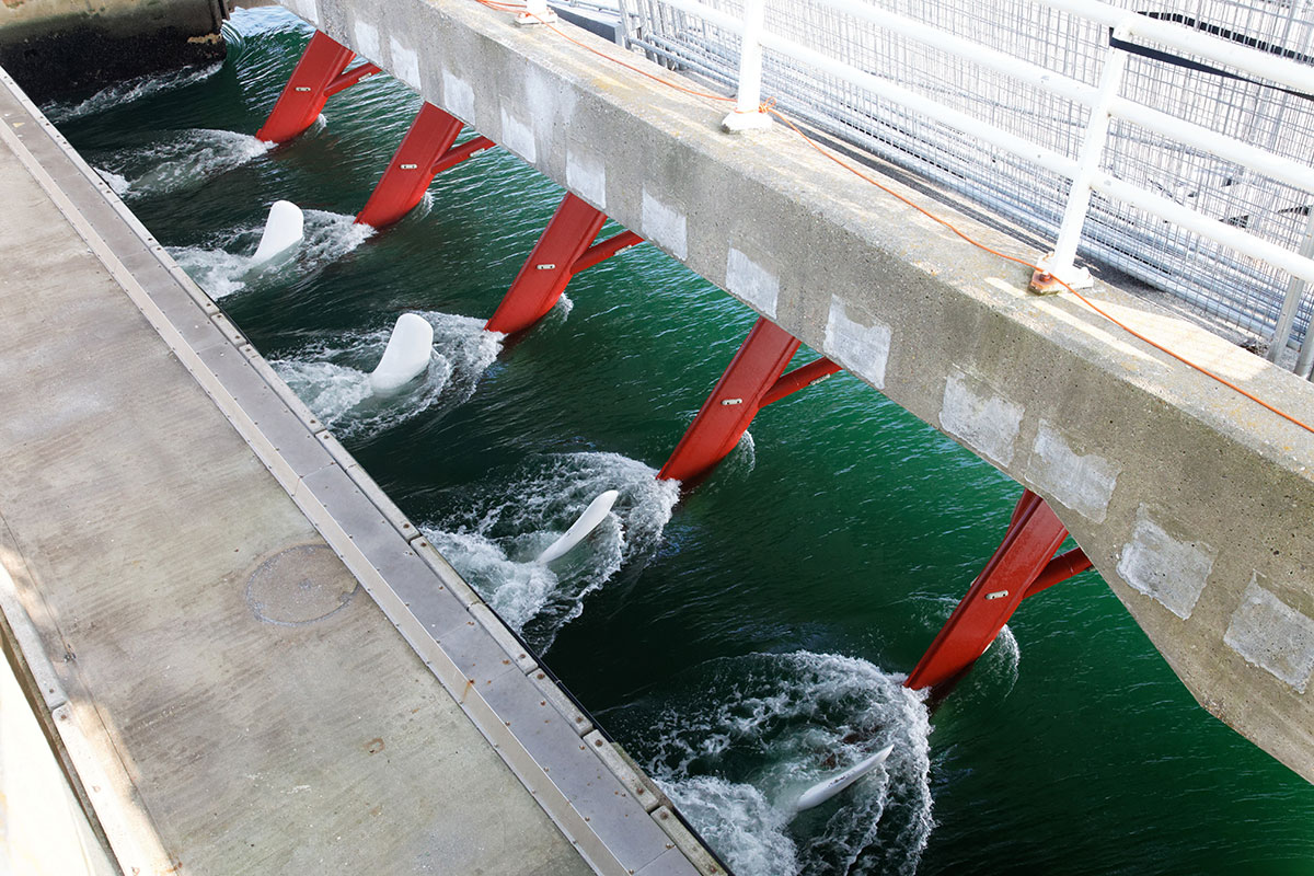 Tidal-Power